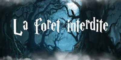 Harry Potter et la forêt interdite The Grand Asylum Montpellier